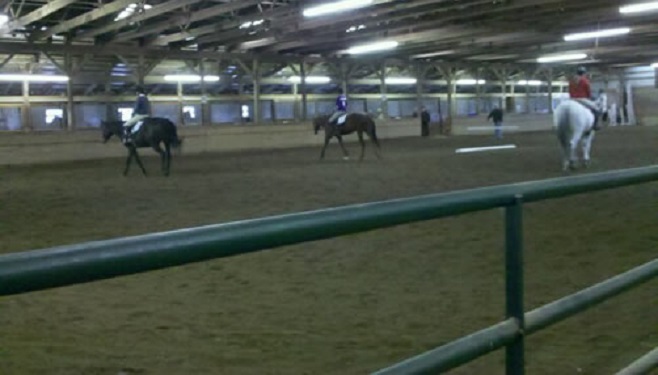 Ellrick Farm Is A Full-Care Horse Boarding Facility, Offering Riding Lessons For Beginning Riders And Advanced Equestrians